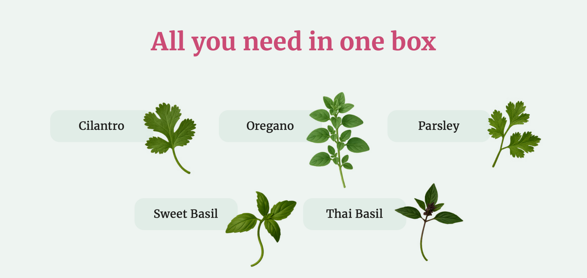 Plant Pack Care Guide Images-4.png