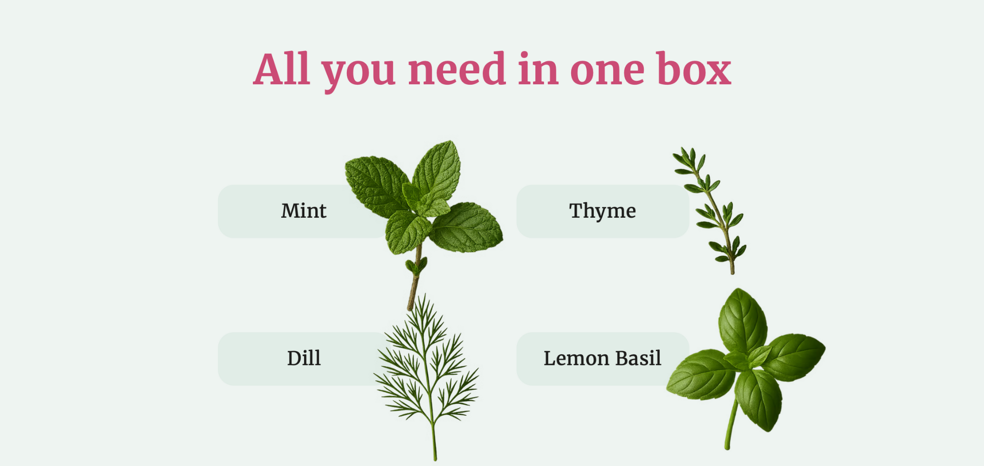 Plant Pack Care Guide Images-5.png