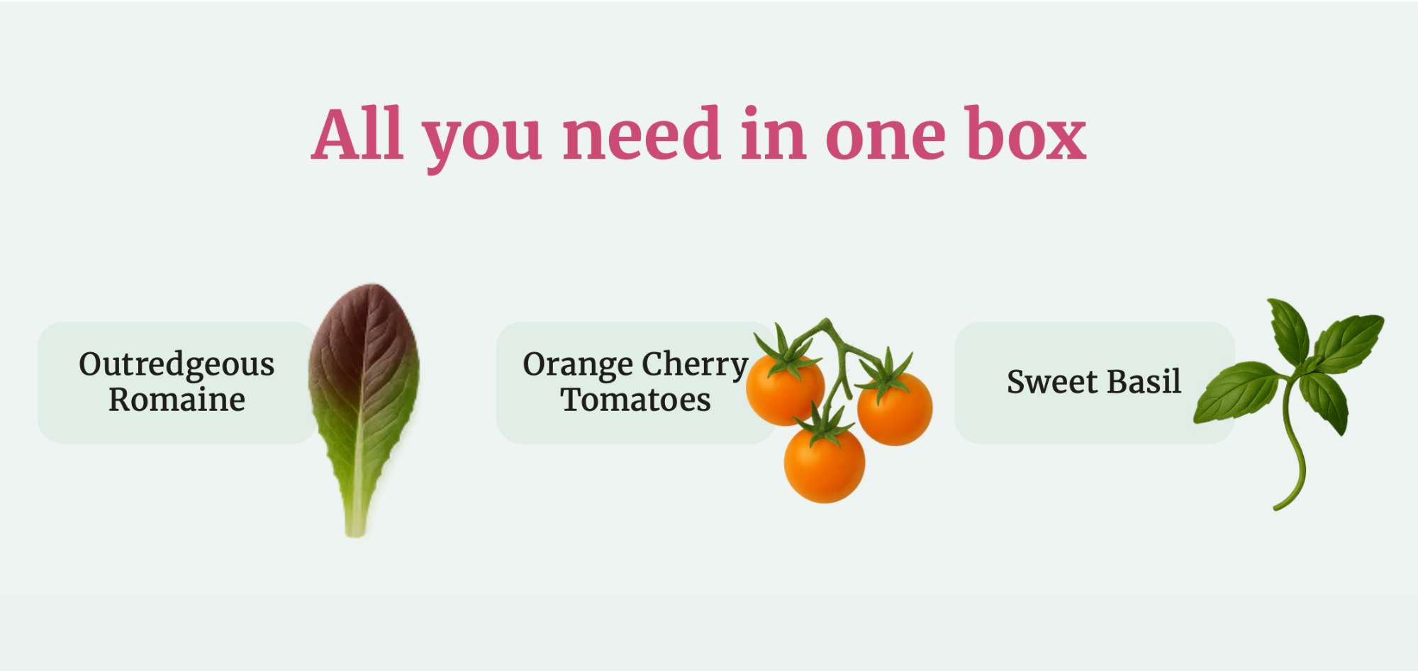 Plant Pack Care Guide Images-7.png
